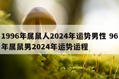 1996年属鼠人2024年运势男性 96年属鼠男2024年运势运程