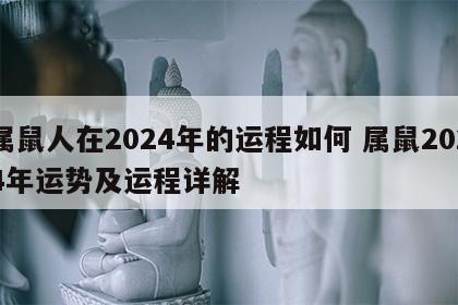 属鼠人在2024年的运程如何 属鼠2024年运势及运程详解