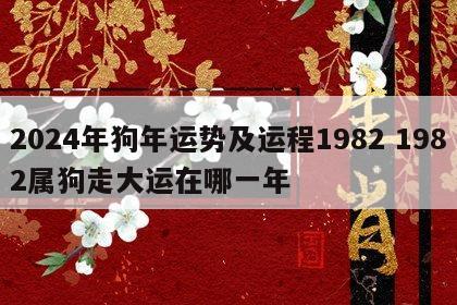 2024年狗年运势及运程1982 1982属狗走大运在哪一年