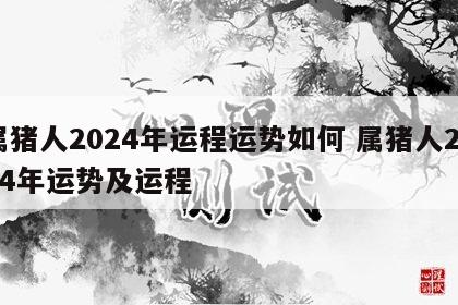 属猪人2024年运程运势如何 属猪人2024年运势及运程