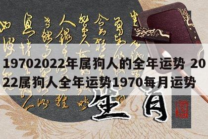19702022年属狗人的全年运势 2022属狗人全年运势1970每月运势
