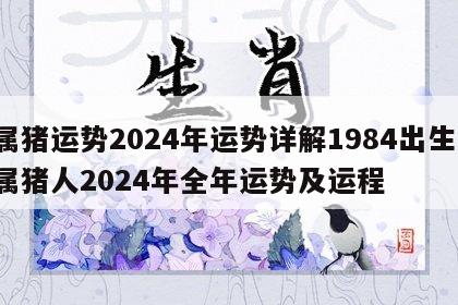 属猪运势2024年运势详解1984出生 属猪人2024年全年运势及运程