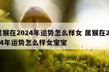 属猴在2024年运势怎么样女 属猴在2024年运势怎么样女宝宝