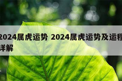 2024属虎运势 2024属虎运势及运程详解