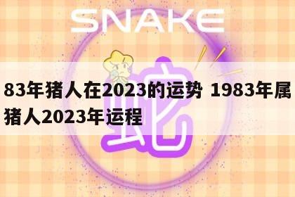 83年猪人在2023的运势 1983年属猪人2023年运程