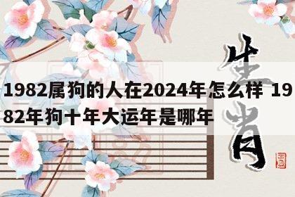 1982属狗的人在2024年怎么样 1982年狗十年大运年是哪年