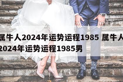 属牛人2024年运势运程1985 属牛人2024年运势运程1985男