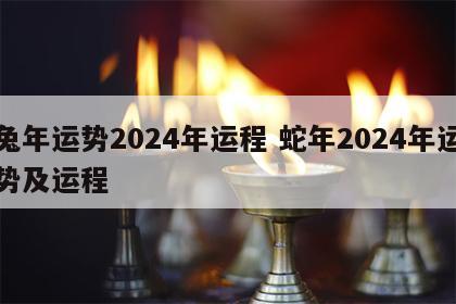 兔年运势2024年运程 蛇年2024年运势及运程