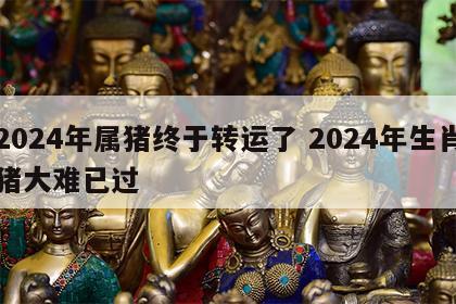 2024年属猪终于转运了 2024年生肖猪大难已过