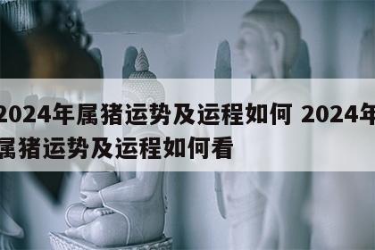 2024年属猪运势及运程如何 2024年属猪运势及运程如何看