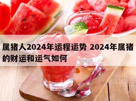属猪人2024年运程运势 2024年属猪的财运和运气如何
