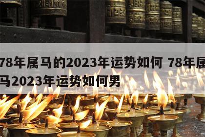 78年属马的2023年运势如何 78年属马2023年运势如何男
