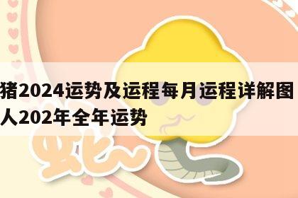 属猪2024运势及运程每月运程详解图 属猪人202年全年运势