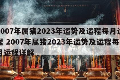 2007年属猪2023年运势及运程每月运程 2007年属猪2023年运势及运程每月运程详解