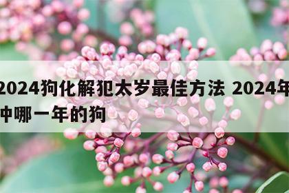 2024狗化解犯太岁最佳方法 2024年冲哪一年的狗