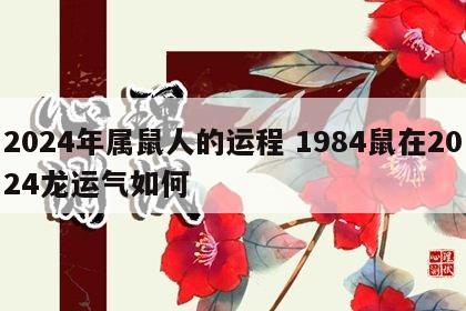2024年属鼠人的运程 1984鼠在2024龙运气如何