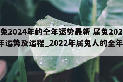 属兔2024年的全年运势最新 属兔2024年运势及运程_2022年属兔人的全年运势