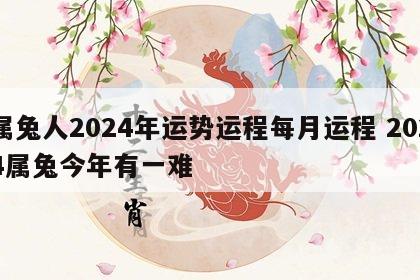 属兔人2024年运势运程每月运程 2024属兔今年有一难