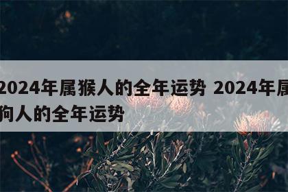 2024年属猴人的全年运势 2024年属狗人的全年运势