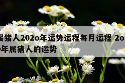 属猪人202o年运势运程每月运程 2o20年属猪人的运势