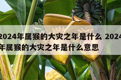 2024年属猴的大灾之年是什么 2024年属猴的大灾之年是什么意思