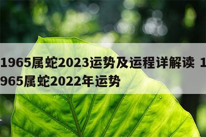 1965属蛇2023运势及运程详解读 1965属蛇2022年运势