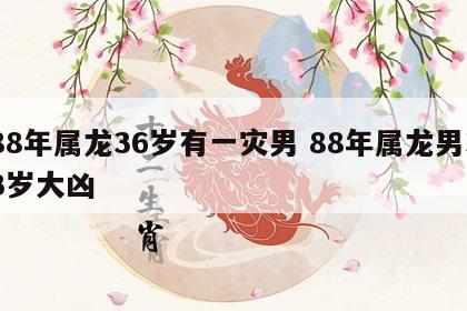 88年属龙36岁有一灾男 88年属龙男33岁大凶