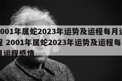 2001年属蛇2023年运势及运程每月运程 2001年属蛇2023年运势及运程每月运程感情