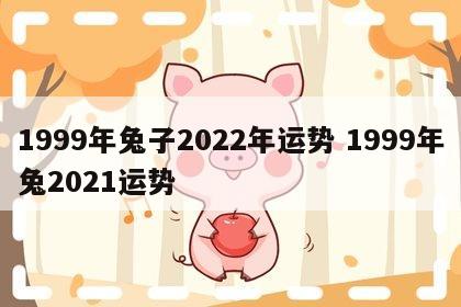 1999年兔子2022年运势 1999年兔2021运势