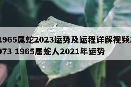 1965属蛇2023运势及运程详解视频1973 1965属蛇人2021年运势