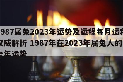 1987属兔2023年运势及运程每月运程权威解析 1987年在2023年属兔人的全年运势