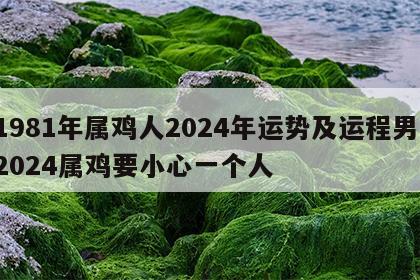 1981年属鸡人2024年运势及运程男 2024属鸡要小心一个人