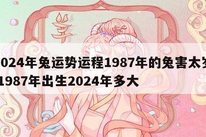 2024年兔运势运程1987年的兔害太岁 1987年出生2024年多大