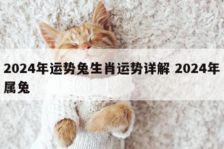 2024年运势兔生肖运势详解 2024年属兔