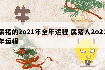 属猪的2o21年全年运程 属猪人2o21年运程
