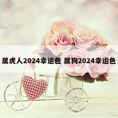 属虎人2024幸运色 属狗2024幸运色
