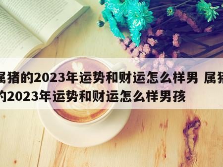 属猪的2023年运势和财运怎么样男 属猪的2023年运势和财运怎么样男孩