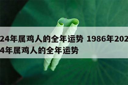 24年属鸡人的全年运势 1986年2024年属鸡人的全年运势