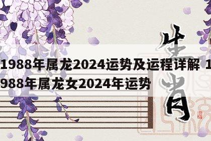 1988年属龙2024运势及运程详解 1988年属龙女2024年运势