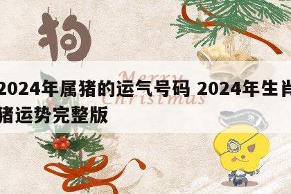 2024年属猪的运气号码 2024年生肖猪运势完整版