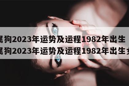 属狗2023年运势及运程1982年出生 属狗2023年运势及运程1982年出生女