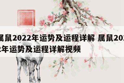 属鼠2022年运势及运程详解 属鼠2022年运势及运程详解视频