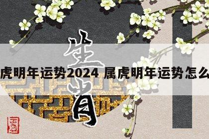 属虎明年运势2024 属虎明年运势怎么样