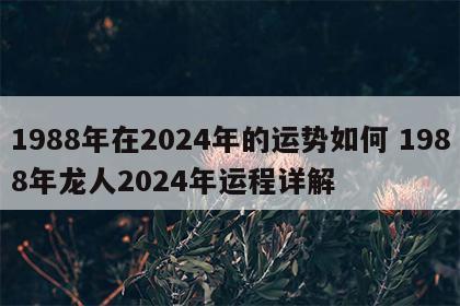 1988年在2024年的运势如何 1988年龙人2024年运程详解