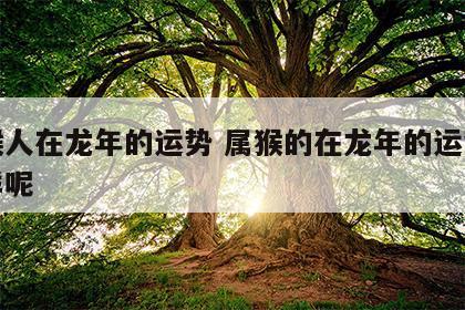 属猴人在龙年的运势 属猴的在龙年的运势怎么样呢