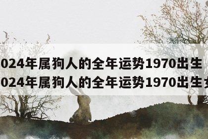 2024年属狗人的全年运势1970出生 2024年属狗人的全年运势1970出生女