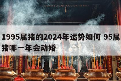 1995属猪的2024年运势如何 95属猪哪一年会动婚