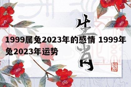 1999属兔2023年的感情 1999年兔2023年运势