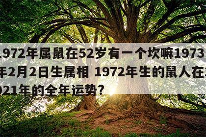 1972年属鼠在52岁有一个坎嘛1973年2月2日生属相 1972年生的鼠人在2021年的全年运势?