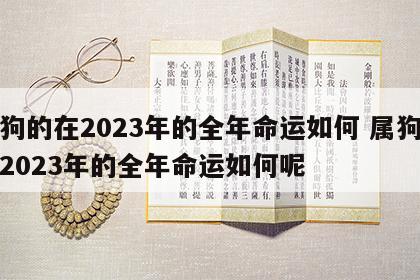 属狗的在2023年的全年命运如何 属狗的在2023年的全年命运如何呢